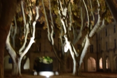 Courtyard of hotel